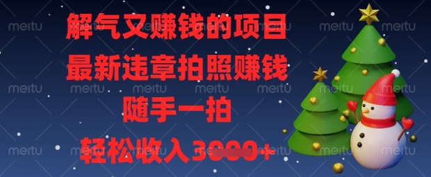 解气又挣钱的项目，最新违章拍照挣钱，随手一拍，轻松收入数张【揭秘】-新手副业项目