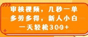 视频审核员，几秒一单，不限时间，不限地点，多做多得，新人小白一天轻松几张+【揭秘】-新手副业项目