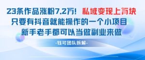 抖音私域项目23条作品涨粉7.2W，私域变现1W-新手副业项目