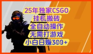25年独家CSGO挂G搬砖，全自动操作，无需打游戏，小白日入3张+【揭秘】-新手副业项目