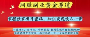 网创副业黄全赛道,掌握独家项目密码,知识变现快人一步,告别韭菜轻松实现单日变现1k+【揭秘】-新手副业项目