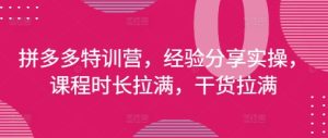 拼多多特训营，经验分享实操，课程时长拉满，干货拉满(更新25年4月)-新手副业项目