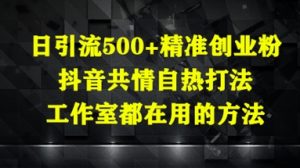 日引流500+精准创业粉,抖音共情自热打法,工作室都在用的方法-新手副业项目