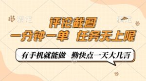 评论截图，0.5元一单，一分钟一单，有手机就能做，任务无上限，勤快点一天几张【揭秘】-新手副业项目