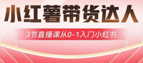 小红薯达人带货启航计划，3节直播课从0-1入门小红书-新手副业项目