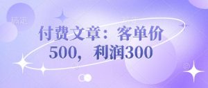 付费文章：客单价500，利润300-新手副业项目