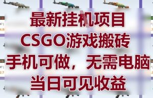 最新挂G项目，CSGO游戏搬砖，手机可做，无需电脑，当日见收益【揭秘】-新手副业项目