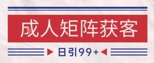 小红书某音橙人赛道引流获客，自热矩阵日引200+【揭秘】-新手副业项目