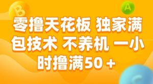 零撸天花板，独家满包技术 不养机 一小时撸满50+【揭秘】-新手副业项目