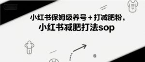 小红书保姆级养号+打减肥粉,小红书减肥打法sop-新手副业项目