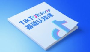TikTok小店基础认知课，助力学员从 0 到 1 掌握 TikTok 电商运营全链路认知-新手副业项目