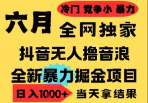 25年6月高爆抖音无人直播最新撸音浪掘金项目，小白可做，无脑日入1k+，门槛低可批量矩阵【揭秘】-新手副业项目