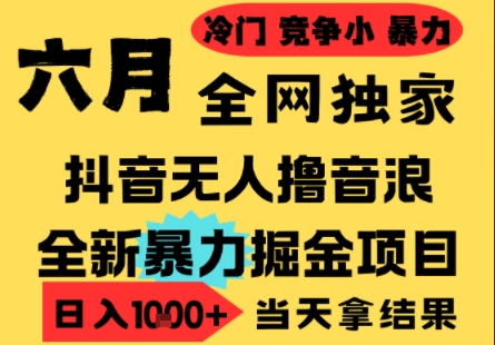 25年6月高爆抖音无人直播最新撸音浪掘金项目，小白可做，无脑日入1k+，门槛低可批量矩阵【揭秘】-新手副业项目