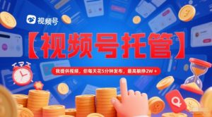 【视频号托管 】我提供视频，你每天花5分钟发布，最高躺挣2W+【揭秘】-新手副业项目