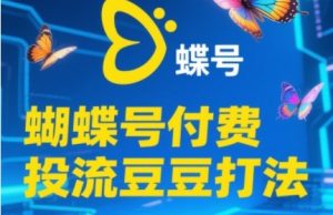 2025蝴蝶号付费投流豆豆打法，助新手快速掌握付费流量撬动自然流的核心玩法-新手副业项目