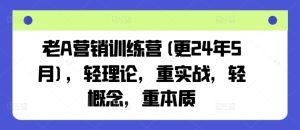 老A营销训练营(更25年6月),轻理论,重实战,轻概念,重本质-新手副业项目