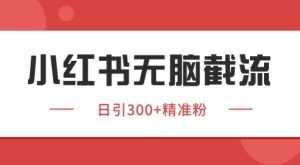 小红书截流同行客源，独家野路子获客玩法 日引200+暴力获客【揭秘】-新手副业项目