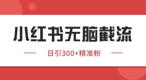 小红书截流同行客源，独家野路子获客玩法 日引200+暴力获客【揭秘】-新手副业项目