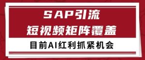 小红书某音sap赛道引流获客 自热矩阵日引200+【揭秘】-新手副业项目