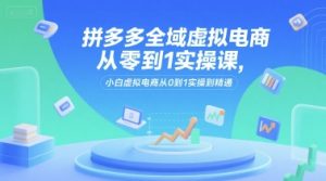 拼多多全域虚拟电商从零到1实操课，小白虚拟电商从0到1实操到精通-新手副业项目