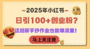 2025年小红书日引100+创业粉?这招新手抄作业也能爆流量!-新手副业项目