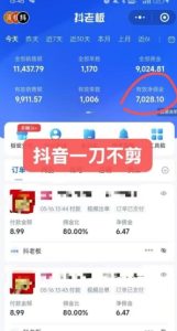 抖音短视频一刀不剪带货，不剪辑，不直播，每天发个视频，等着出单获取带货佣金-新手副业项目