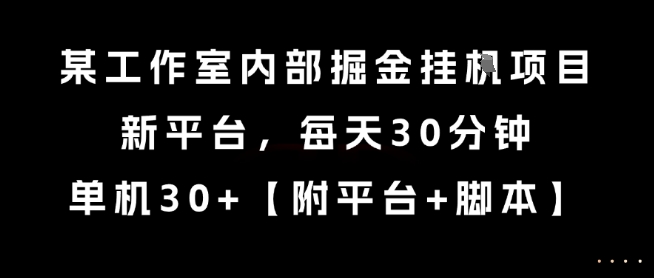 某工作室内部掘金挂G项目，新平台，每天30分钟，单机30+【揭秘】-新手副业项目