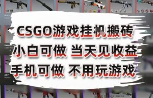 CSGO游戏挂G搬砖，小白纯手机即可操作，不用电脑打游戏，日入3张+，副业网创项目【揭秘】-新手副业项目