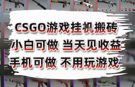 CSGO游戏挂G搬砖，小白纯手机即可操作，不用电脑打游戏，日入3张+，副业网创项目【揭秘】-新手副业项目