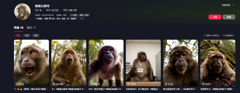 最新爆火的峨眉山猴子短视频制作教程，条条点赞10w+，谁做谁火【教程+提示词】-新手副业项目