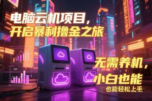 电脑云机项目 暴力撸金玩法，不需要养机 配置没有要求 单机100个窗口一…-新手副业项目