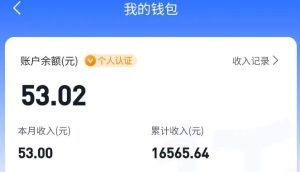 适合空闲时间操作的小红书低保项目,小红薯发布笔记,单个账号每天可获得2-12元左右-新手副业项目