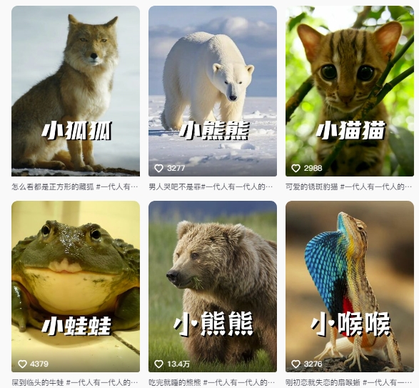 最新搞笑动物百科详细解说课程，蓝海赛道，流量非常大，轻松签独家进精选-新手副业项目