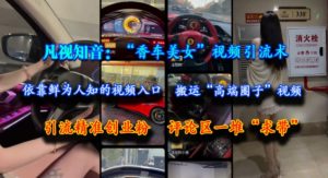 凡视知音：“香车美女”视频引流术，依靠鲜为人知的视频入口，搬运“高端圈子”视频，引流精准创业粉，评论区一堆“求带”-新手副业项目