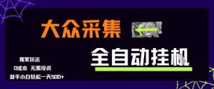 大众采集全自动玩法，新手小白轻松一天5张+，操作简单零成本【揭秘】-新手副业项目