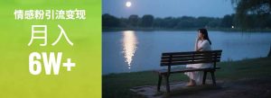 情感粉引流变现实操课：单月变现6w+，情感粉引流变现实操课-新手副业项目
