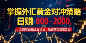 掌握外汇黄金对冲策略，日赚 800 – 2000，小众高回报创业机会，助你实…-新手副业项目