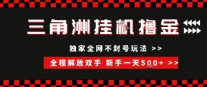 三角洲全自动挂G撸金，新手轻松一天5张+，无脑搬砖【揭秘】-新手副业项目