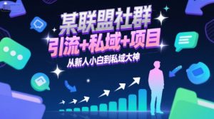 某联盟社群，引流+私域+项目，从新人小白到私域大神-新手副业项目