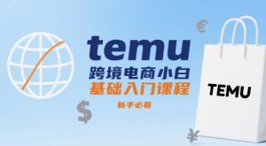 temu跨境电商小白基础入门课程，新手必看-新手副业项目
