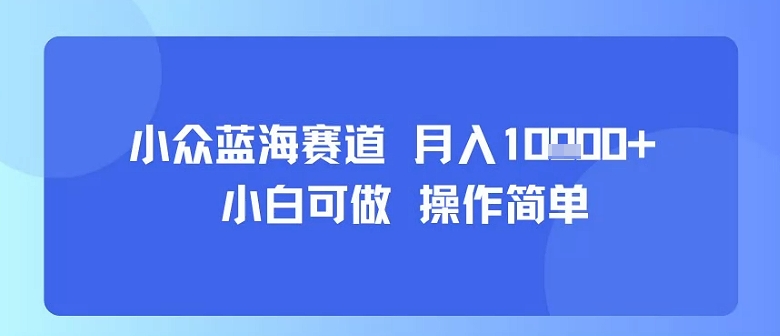 小众蓝海赛道，小白可做，操作简单，每天30分钟，月入1W+-新手副业项目