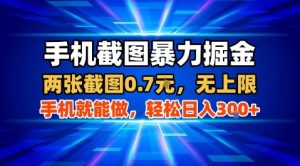 手机截图暴力掘金，两张截图0.7米，一部手机就能做，轻松日入3张+【揭秘】-新手副业项目