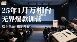 25年1月万相台无界爆款特训营线下录音-新手副业项目