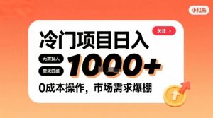 在小红书上发现个冷门路子，需求不小，零成本操作，每天能有1k进账-新手副业项目