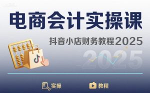 电商会计实操课-抖音小店财务教程2025-新手副业项目