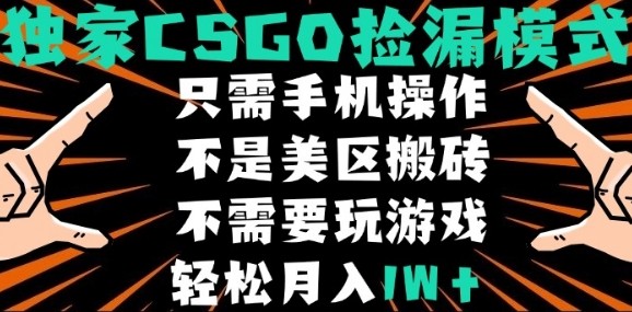 CSGO自动捡漏项目，最新独家玩法，不是美区搬砖，不需要了解和玩游戏，新手小白轻松月入1W+【揭秘】-新手副业项目