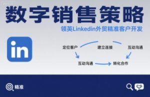 数字销售策略领英LinkedIn外贸精准客户开发-新手副业项目