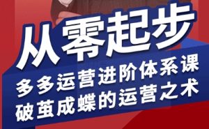 拼多多运营进阶系统课,从零起步,多多运营进阶体系课,破茧成蝶的运营之术-新手副业项目