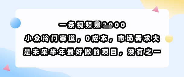 一条视频挣1k，小众冷门赛道，0成本，市场需求大，是未来半年最好做的项目，没有之一-新手副业项目