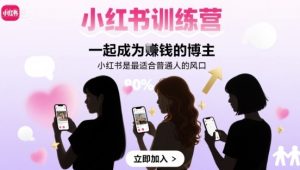 小红书训练营一起成为賺钱的博主，小红书是最适合普通人的风口-新手副业项目